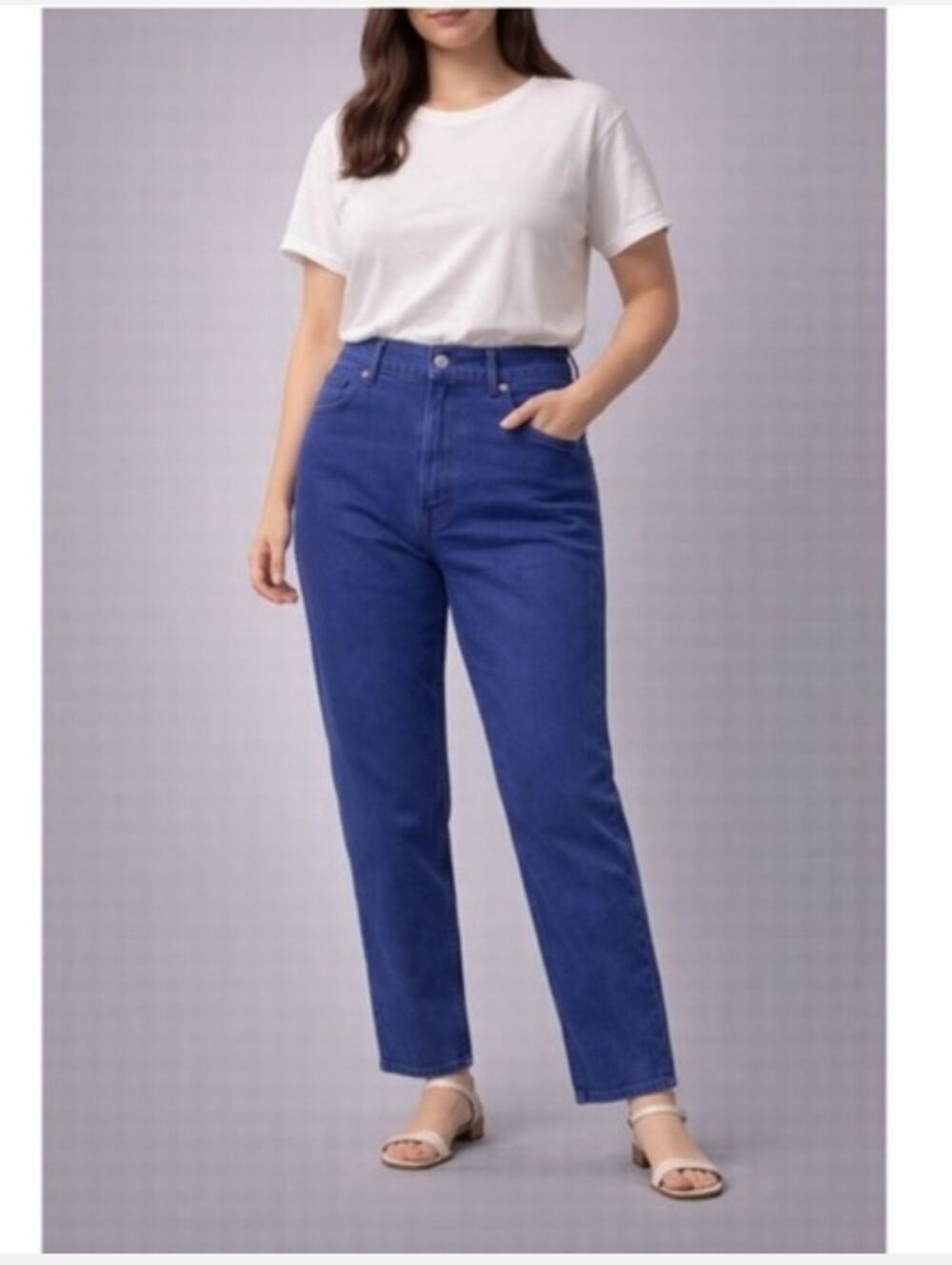 Everlane The Way High Classic Straight Leg Lapis Blue Jean 28 Tall NWT High Rise